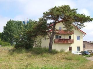 Guest house Ošia - 2