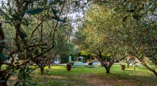 Mas de l'arrivette - 3