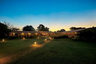Asiatic Lion Lodge - 6