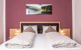 Alpsapart Regina - 8