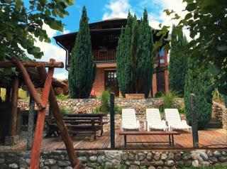 Holiday Home Drinsko svitanje - Gornja Trešnjica - 0