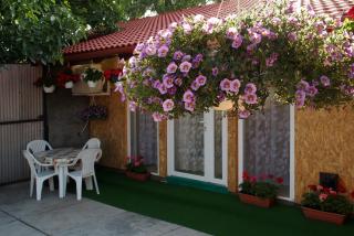 Amália Apartman - Gyula - 7