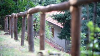 La casa del bosco - Pescia - 9