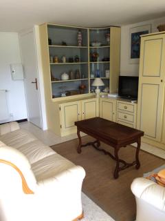 Appartement dans villa accès privé au lac - Veyrier-du-Lac - 1