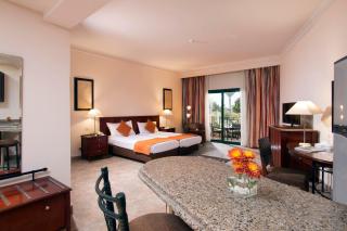 Swiss Inn Plaza Hotel - 5