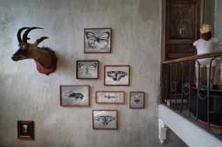 La Maison du Pont Vieux - Cazilhac - 5