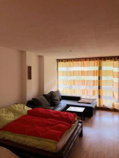 Villa Viva Ferienwohnung - Bregenz - 1