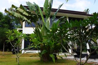 Twin Villas Apartment with Swimming Pool for 2 houses - Wok Tum - 2