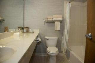 All Seasons Resort - Kalkaska - 4