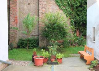 Cosy Castle Apartment - 1