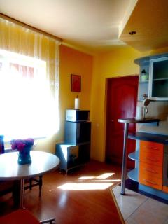 Šeimos apartamentai Maironio gatveje - 1