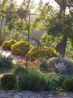 Space in Paradise - 3