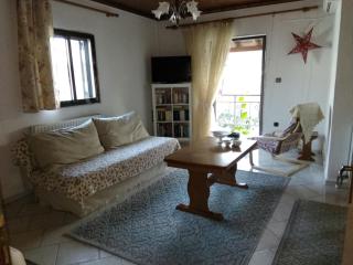 PAPAPOULIOS APARTMENT - Sykia Chalkidikis - 8