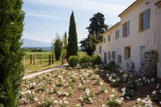 Château La Croix Des Pins - Mazan - 5