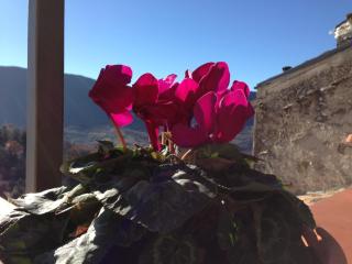 Il Borgo 19 - 3