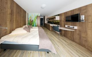 Boarding & HOUSE T24 - Bad Wurzach - 9