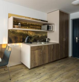 Boarding & HOUSE T24 - Bad Wurzach - 7