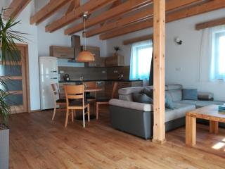 Apartmány U Holubů - Rožnov pod Radhoštěm - 8