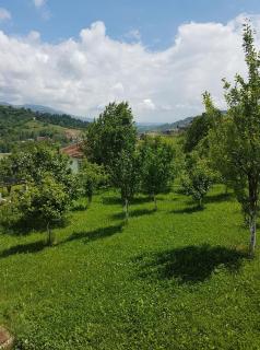 Villa Fruit Garden - Sarajevo - 5