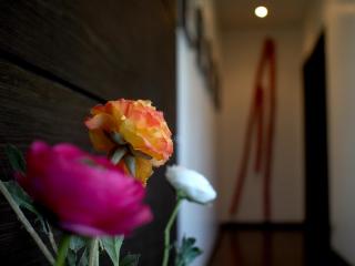Chic Hotel Boutique - Barra Grande - 4