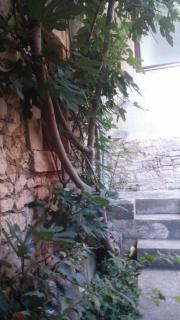 Holiday Home Arina - 6