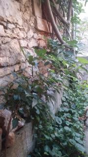 Holiday Home Arina - 8