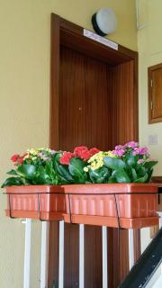 D.ANA GUESTHOUSE - Lagos - 0