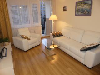 Modern apartment near Katowice centre - Katowice - 0
