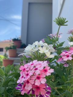 Joy & Grace Apartments Ksamil - 3