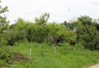 Anuța - Breaza - 6