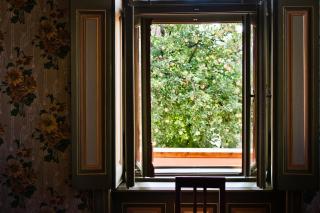 Jackfall Apartman és Fogadó - 4