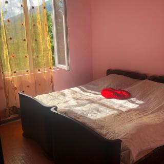 Guest House Malkhaz Niguriani - Zhabeshi - 9