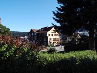 La Mansarde de Clo - Gérardmer - 0