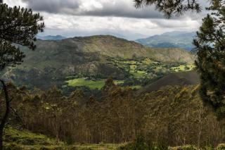 Bajo Los Tilos - Ribadesella - 7