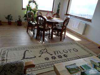 Pensiunea L`Amoro - 2