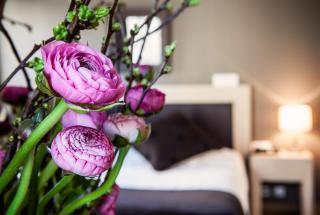 Hotel Villa Emilia - Barcellona - 2