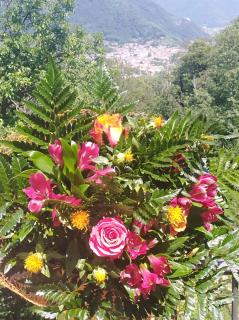 Bed and Breakfast Isabella - Miane - 4