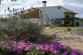 APARTMENT NORINA - 3