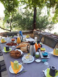 MAS SAINT-JOSEPH - Fontvieille - 7