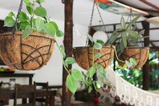 Colibri Apartments - Private kitchen & bathroom - 4 min walk to the Beach! - 1