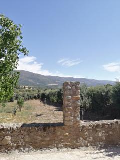 EL MIRADOR DEL CORNEJA - Mesegar de Corneja - 6