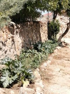 EL MIRADOR DEL CORNEJA - Mesegar de Corneja - 4