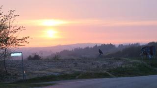 Aktivitetshuset Solhjem - 3