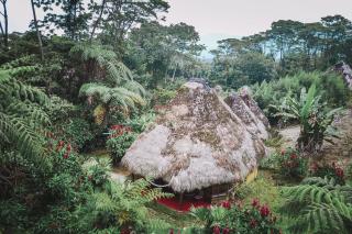 Huasquila Amazon Lodge - Cotundo - 5