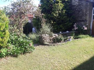 LA ROSERAIE DE ST REMY - Blaisy - 5