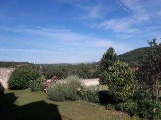 LA ROSERAIE DE ST REMY - Blaisy - 6