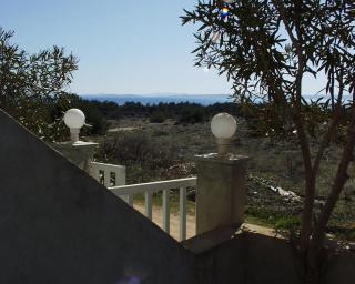 Apartment Vir - Pedinka 294b - 9