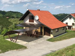 Liveza House - Miklavž pri Ormožu - 5