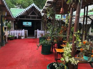 Roots Shoots & Beds - 1