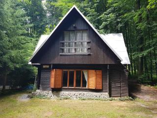 Slovak cottage near Bratislava in the heart of the Carpathians - Modra - 8